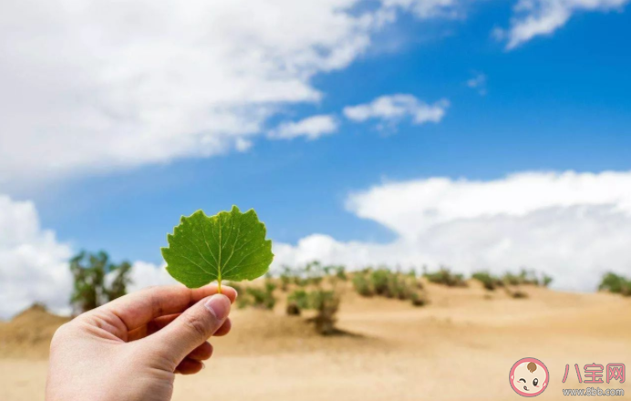 為什么對別人越好越疏遠自己 對男人太好會有什么下場