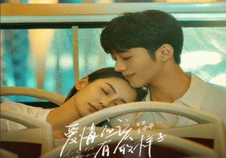 《愛情應該有的樣子》講的是什么故事 《愛情應該有的樣子》小說是什么