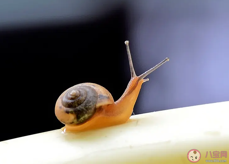 他把你的眼睛當成星星一樣看有些秘密沒拆穿是什么歌 《緩緩》完整版歌詞在線聽歌