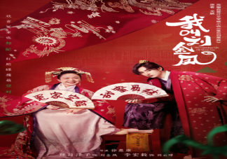 《我叫劉金鳳》是根據(jù)什么小說(shuō)改編的 該劇講述了什么故事