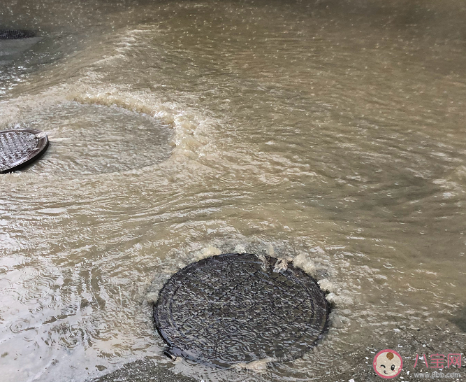 哪些人蹚水走路很危險(xiǎn) 蹚水走路一定要注意什么 哪些人蹚水走路很危險(xiǎn) 蹚水走路一定要注意什么