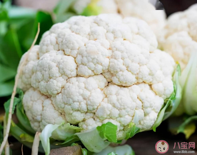 平時(shí)吃的花椰菜主要食用的是它的哪個(gè)部分 螞蟻莊園6月22日正確答案 平時(shí)吃的花椰菜主要食用的是它的哪個(gè)部分 螞蟻莊園6月22日正確答案