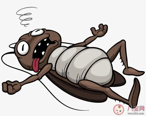 蟑螂怎么消滅 消除蟑螂的辦法有哪些 蟑螂怎么消滅 消除蟑螂的辦法有哪些