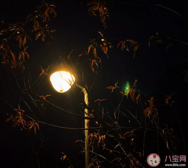 做自己的光的溫暖有力量的句子 做自己的光的朋友圈文案說說 做自己的光的溫暖有力量的句子 做自己的光的朋友圈文案說說