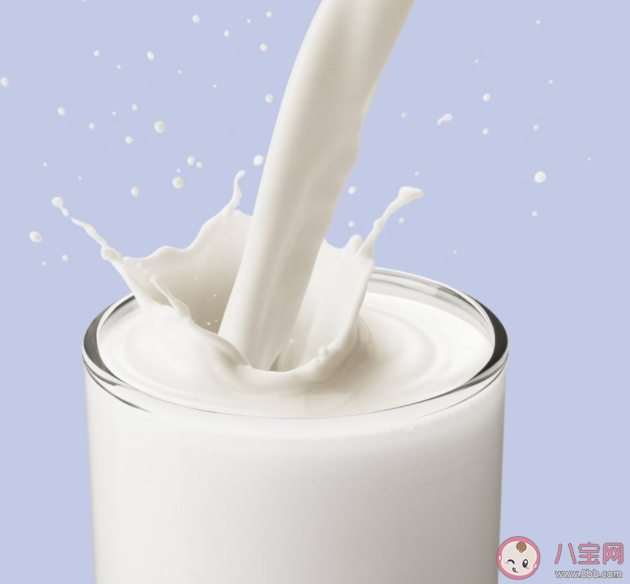 喝奶不適是蛋白質的原因嗎 乳糖不耐受就不能喝牛奶嗎 喝奶不適是蛋白質的原因嗎 乳糖不耐受就不能喝牛奶嗎