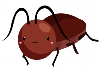 蟑螂怎么消滅 消除蟑螂的辦法有哪些