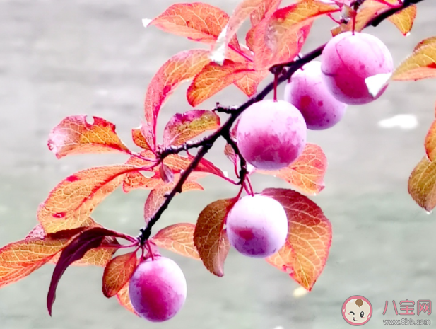 過期了一天的食物還能吃嗎 食物過期多久不能吃 過期了一天的食物還能吃嗎 食物過期多久不能吃