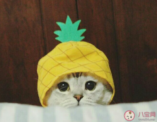 社交軟件越多越孤獨(dú)是什么原因 為什么會(huì)感覺(jué)到孤獨(dú)