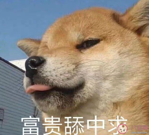 社交軟件越多越孤獨(dú)是什么原因 為什么會(huì)感覺(jué)到孤獨(dú)