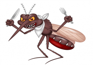 夏天是不是住高層就沒蚊子了 螞蟻莊園6月24日問題答案