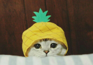 社交軟件越多越孤獨是什么原因 為什么會感覺到孤獨