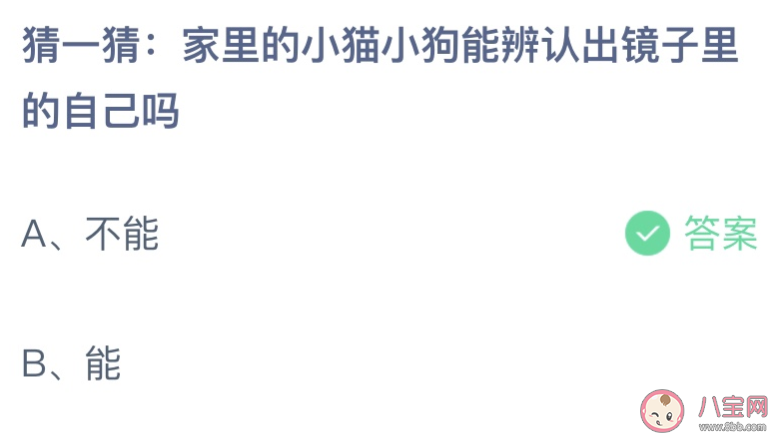 猜一猜小貓小狗能辨認出鏡子里的自己嗎 螞蟻莊園6月25日答案 猜一猜小貓小狗能辨認出鏡子里的自己嗎 螞蟻莊園6月25日答案