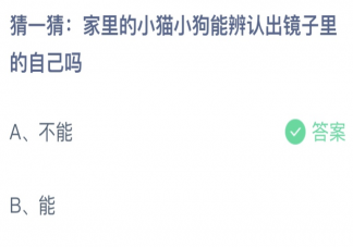猜一猜小貓小狗能辨認(rèn)出鏡子里的自己嗎 螞蟻莊園6月25日答案