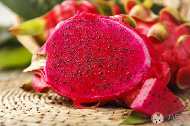 浮甘瓜于清泉沉朱李于寒水描述的是哪個場景 6月28日螞蟻莊園答案 浮甘瓜于清泉沉朱李于寒水描述的是哪個場景 6月28日螞蟻莊園答案