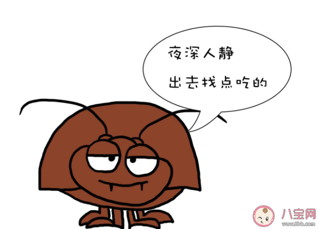 踩死一只蟑螂會(huì)有什么后果 弄死的蟑螂尸體去哪兒了 踩死一只蟑螂會(huì)有什么后果 弄死的蟑螂尸體去哪兒了