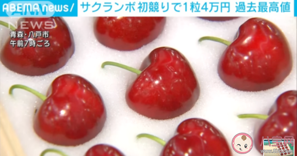 日本櫻桃一顆拍出1980元天價是怎么回事 天價櫻桃長什么樣 日本櫻桃一顆拍出1980元天價是怎么回事 天價櫻桃長什么樣
