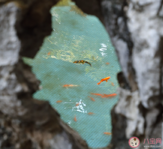 被頻繁說分手什么體驗 要不要把分手掛嘴邊