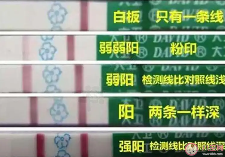 排卵試紙強陽就是排卵嗎 強陽與弱陽是如何界定的