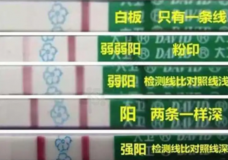 排卵試紙強陽就是排卵嗎 強陽與弱陽是如何界定的