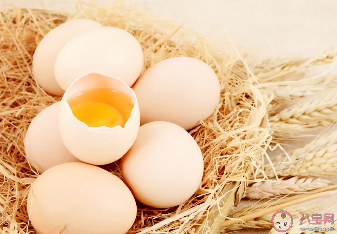 可生食雞蛋真的能放心吃嗎 要不要吃可生食雞蛋 可生食雞蛋真的能放心吃嗎 要不要吃可生食雞蛋