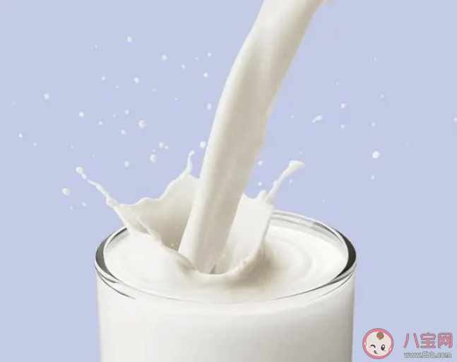 如何挑選一款優質的牛奶 牛奶蛋白質含量越高越好嗎