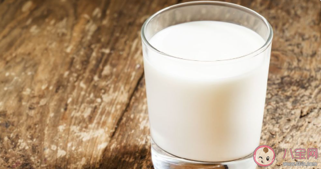 如何挑選一款優質的牛奶 牛奶蛋白質含量越高越好嗎