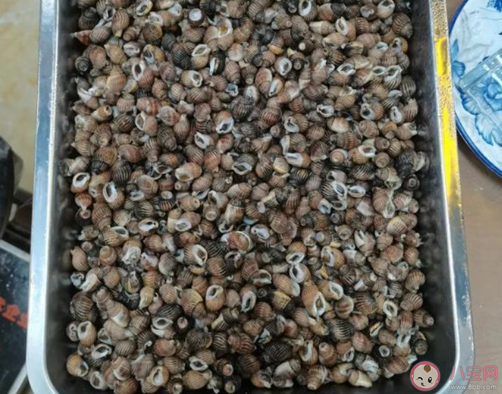 以下哪種螺千萬不要吃 螞蟻莊園7月2日答案