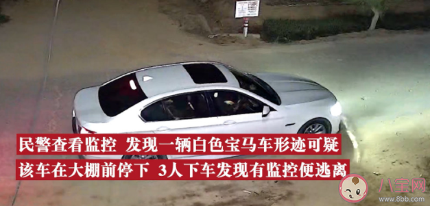 如何評價開豪車偷西瓜行為 為什么會開豪車偷西瓜 如何評價開豪車偷西瓜行為 為什么會開豪車偷西瓜