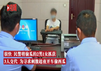 如何評價開豪車偷西瓜行為 為什么會開豪車偷西瓜