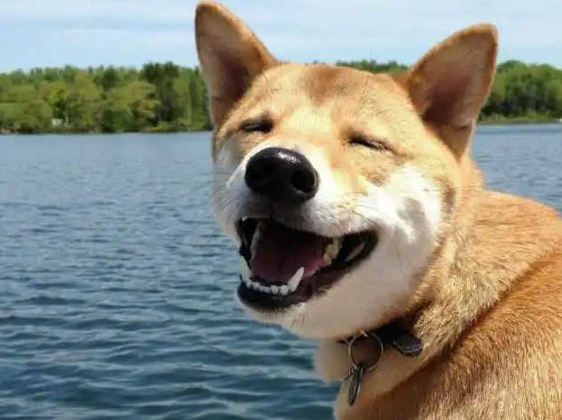 如何才可以活得開心一點 怎樣讓生活變得開心