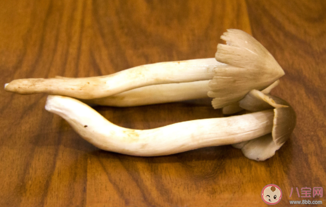 荔枝菌為什么這么貴 荔枝菌有哪些營養價值