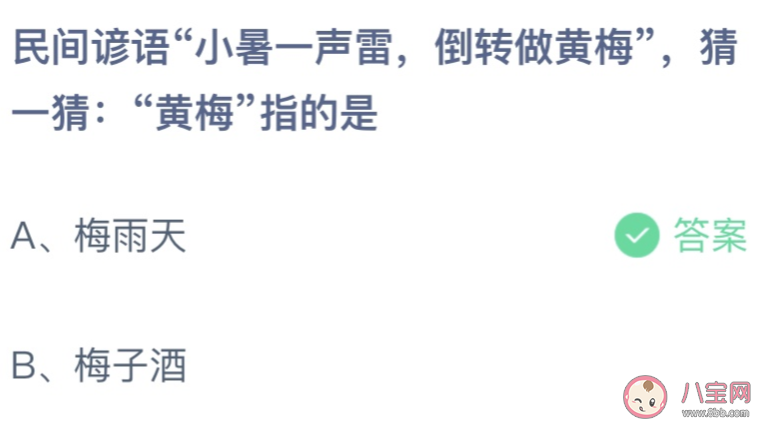 民間諺語小暑一聲雷倒轉做黃梅中黃梅指的是 螞蟻莊園7月7日答案最新