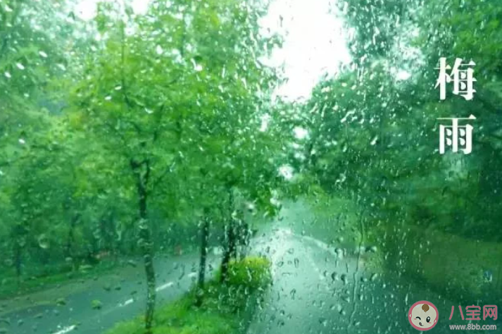 螞蟻莊園小暑一聲雷倒轉做黃梅中的黃梅指什么 7月7日正確答案