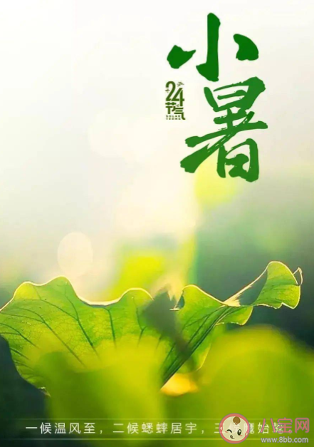 螞蟻莊園7月7日答案介紹：小暑食新的習俗是指什么