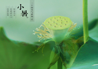 螞蟻莊園7月7日答案介紹：小暑食新的習(xí)俗是指什么