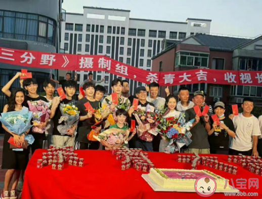 《三分野》講述了什么故事 向園與徐燕時(shí)感情糾葛是怎樣的