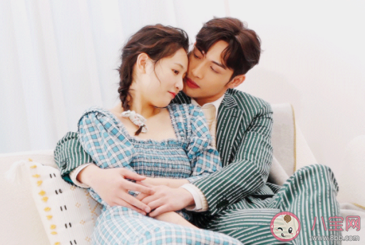 《三分野》講述了什么故事 向園與徐燕時(shí)感情糾葛是怎樣的