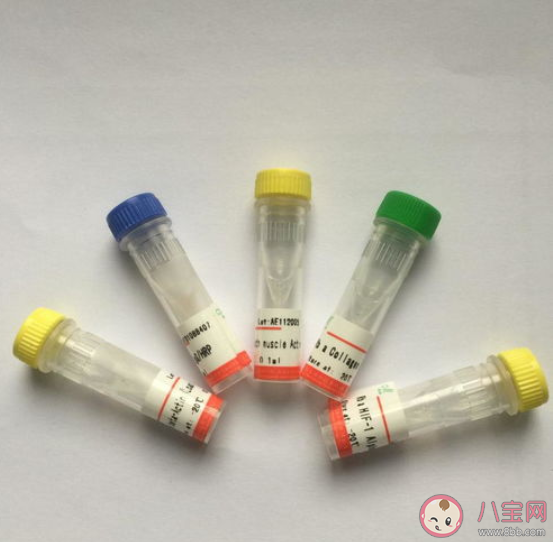 抗原檢測提取液含劇毒易炸物是真的嗎 如何正確規范操作