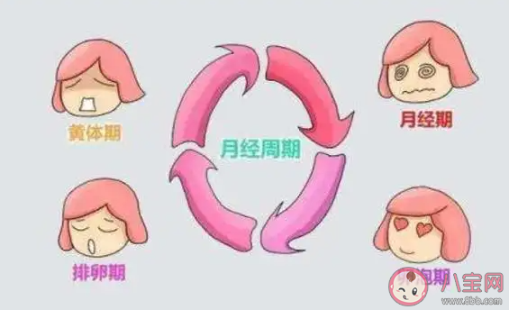 懷孕了還會(huì)排卵嗎 懷孕后多久能恢復(fù)排卵