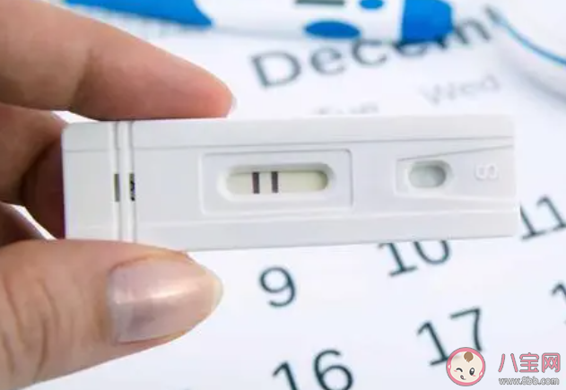 懷孕了還會(huì)排卵嗎 懷孕后多久能恢復(fù)排卵