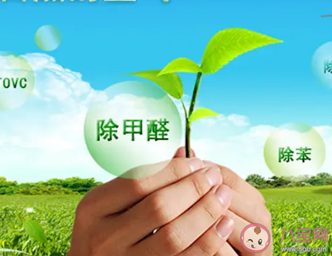 甲醛能在短時間內徹底去除嗎 去除甲醛最好的辦法是什么