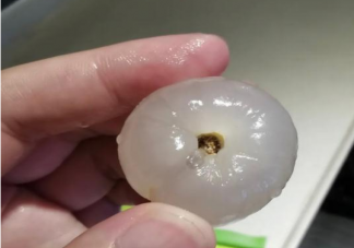 荔枝里真的有蟲(chóng)嗎 荔枝蒂部的黑色物質(zhì)是蟲(chóng)糞嗎