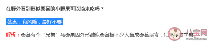 螞蟻莊園7月12日答案解析:野外看到形似桑葚的小野果可以摘來吃嗎 螞蟻莊園7月12日答案解析:野外看到形似桑葚的小野果可以摘來吃嗎