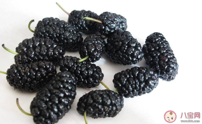 螞蟻莊園7月12日答案解析:野外看到形似桑葚的小野果可以摘來吃嗎 螞蟻莊園7月12日答案解析:野外看到形似桑葚的小野果可以摘來吃嗎