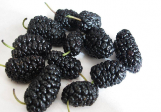 螞蟻莊園7月12日答案解析：野外看到形似桑葚的小野果可以摘來吃嗎