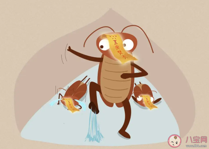 蟑螂為什么殺不完 怎樣滅蟑螂最有效 蟑螂為什么殺不完 怎樣滅蟑螂最有效