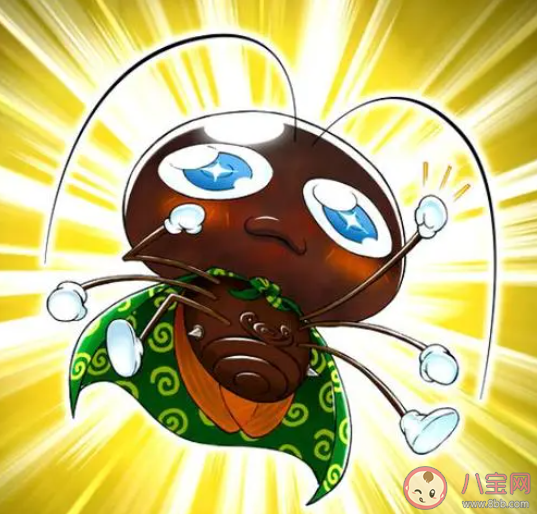 蟑螂為什么殺不完 怎樣滅蟑螂最有效 蟑螂為什么殺不完 怎樣滅蟑螂最有效