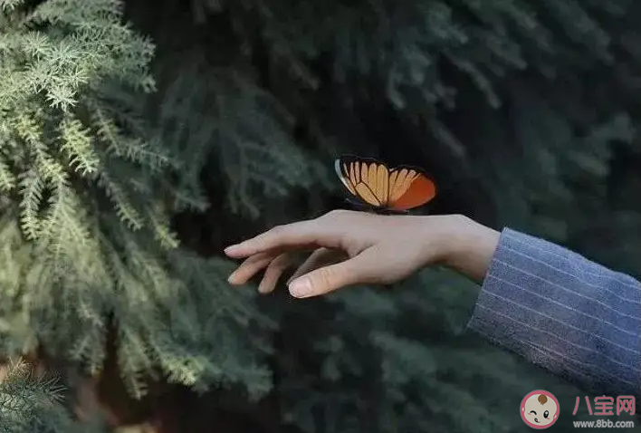 成年人的分寸感有多重要 怎樣保持分寸感