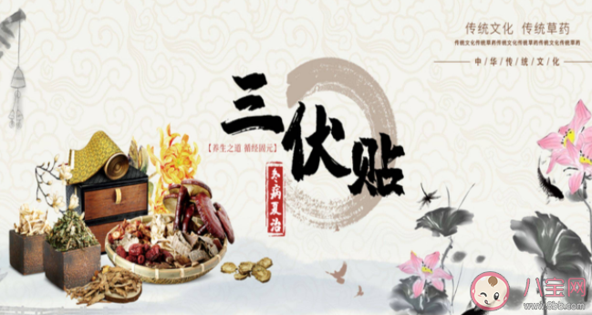 婦科疾病為什么可以冬病夏治 三伏貼能治療婦科疾病嗎 婦科疾病為什么可以冬病夏治 三伏貼能治療婦科疾病嗎