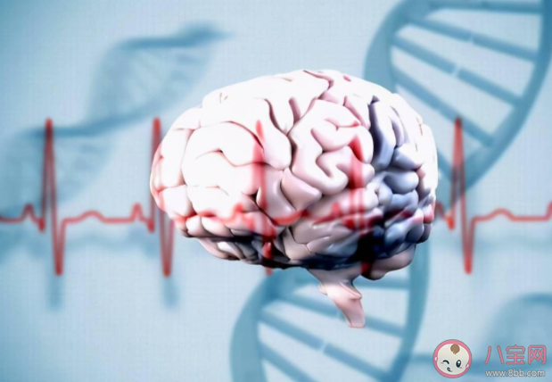 長期腦供血不足會影響智商 大腦供血不足會對智商造成什么危害
